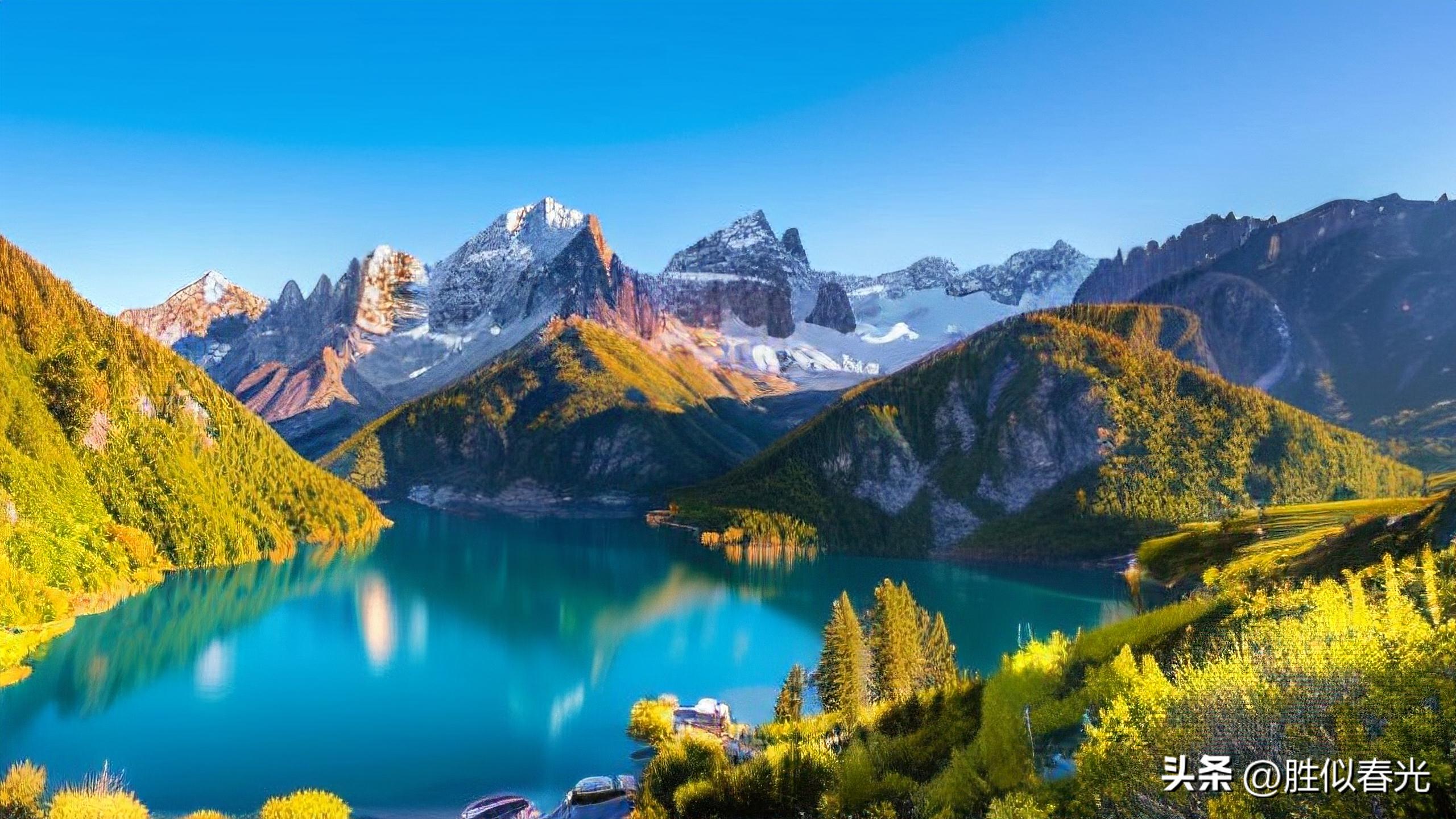 母系家族在线观看_成年人的亲情关系_父系亲戚与母系亲人